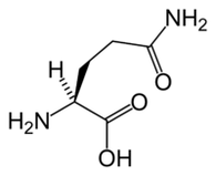 L-glutamín v Keto Diet